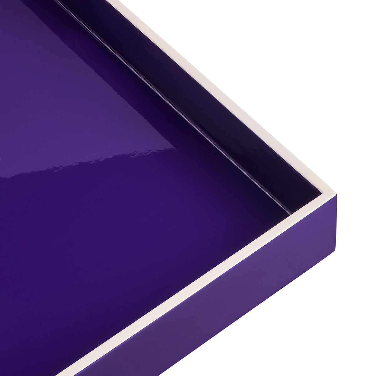 Maximus Purple
